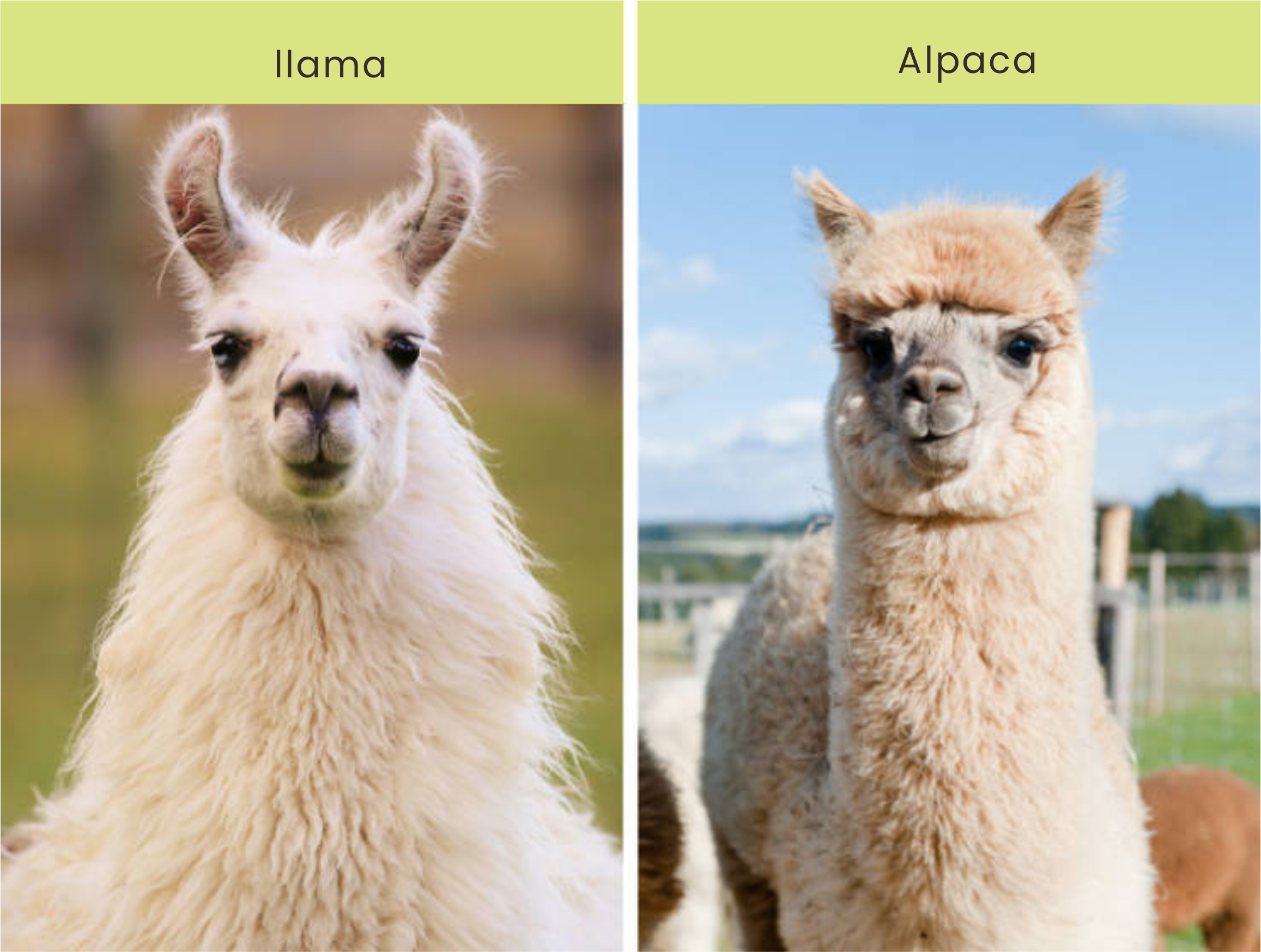 202304241046546024.png 202304241046546024.png