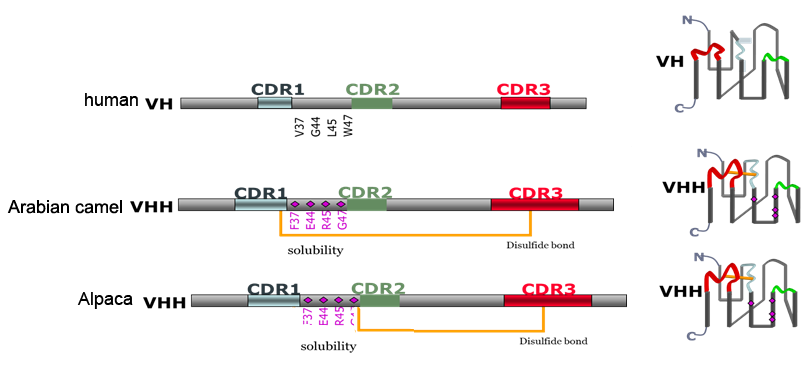 微信圖片_20230424110054.png 微信圖片_20230424110054.png