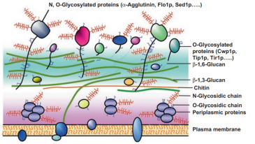 微信圖片_20230425105410.png 微信圖片_20230425105410.png