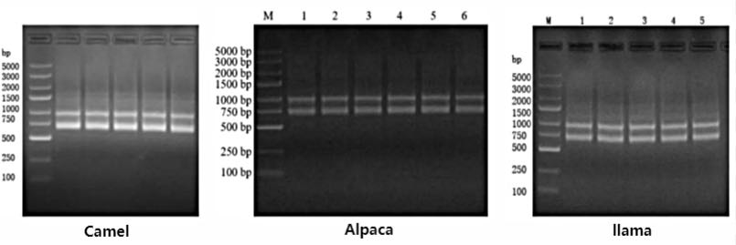 微信圖片_20230626143514.jpg 微信圖片_20230626143514.jpg