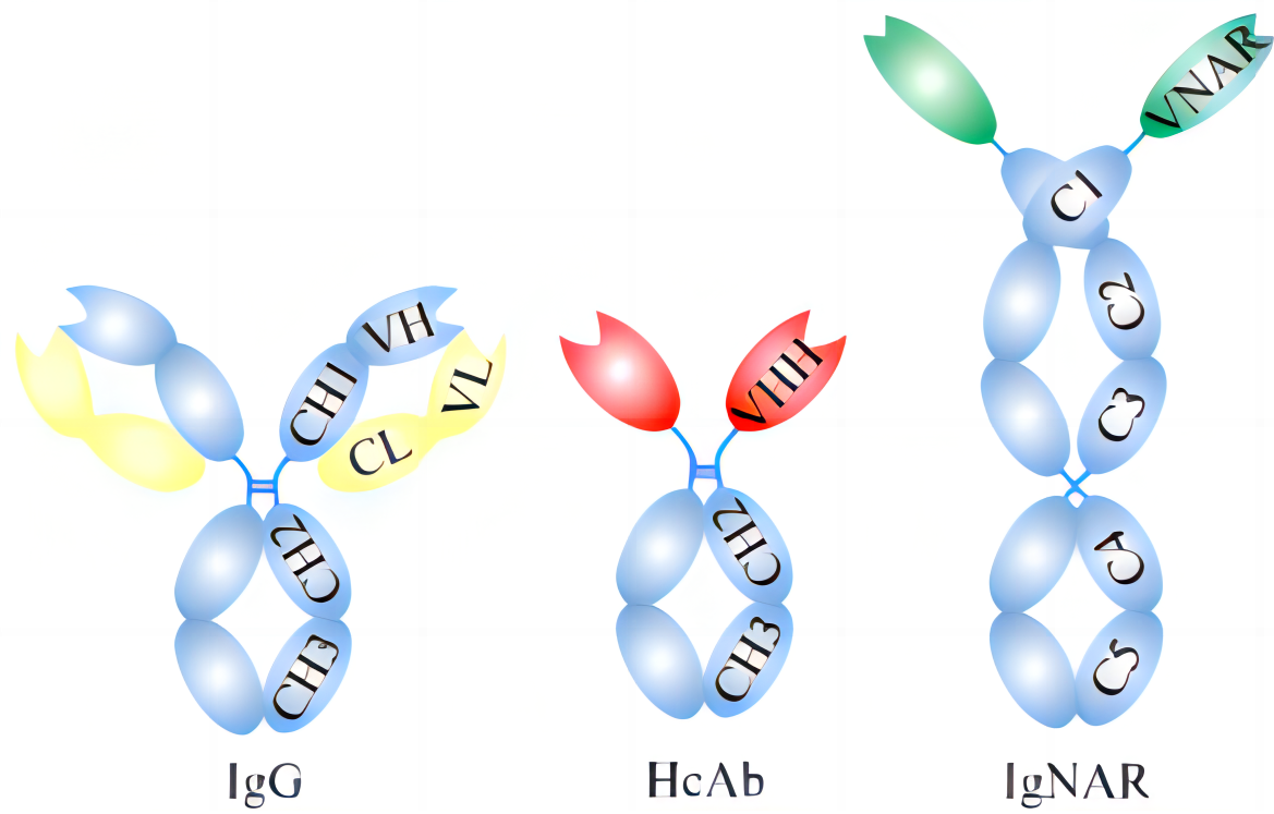 202311081524015948.png 202311081524015948.png