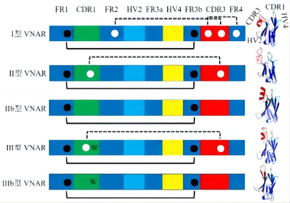 202311081524535881.png 202311081524535881.png