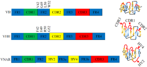 202311081529242342.png 202311081529242342.png