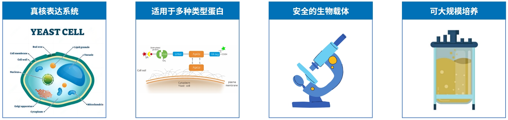 微信截圖_20240328142243.png 微信截圖_20240328142243.png