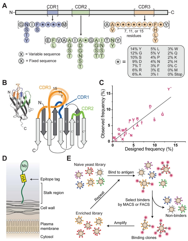 微信圖片_20240814101623.png 微信圖片_20240814101623.png