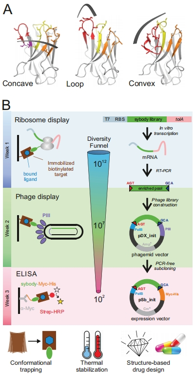 微信圖片_20240814101732.png 微信圖片_20240814101732.png