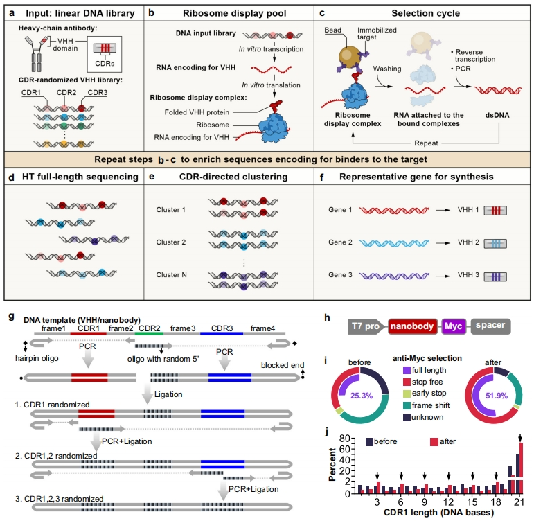 微信圖片_20240814101940.png 微信圖片_20240814101940.png