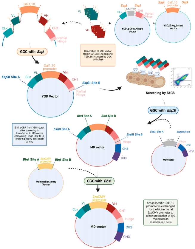 微信圖片_20240814142908.png 微信圖片_20240814142908.png