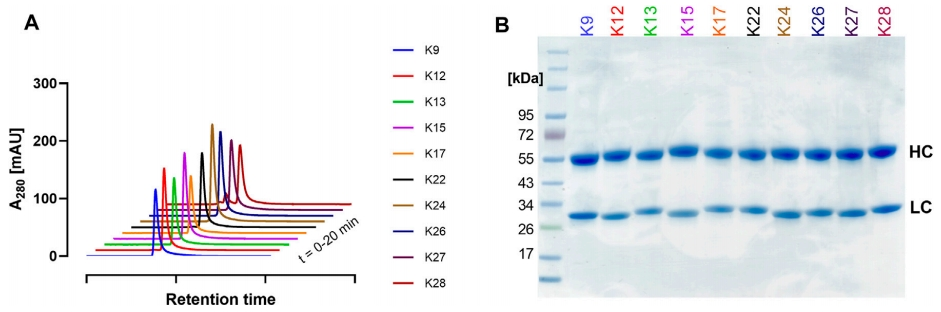 微信圖片_20240814143504.png 微信圖片_20240814143504.png