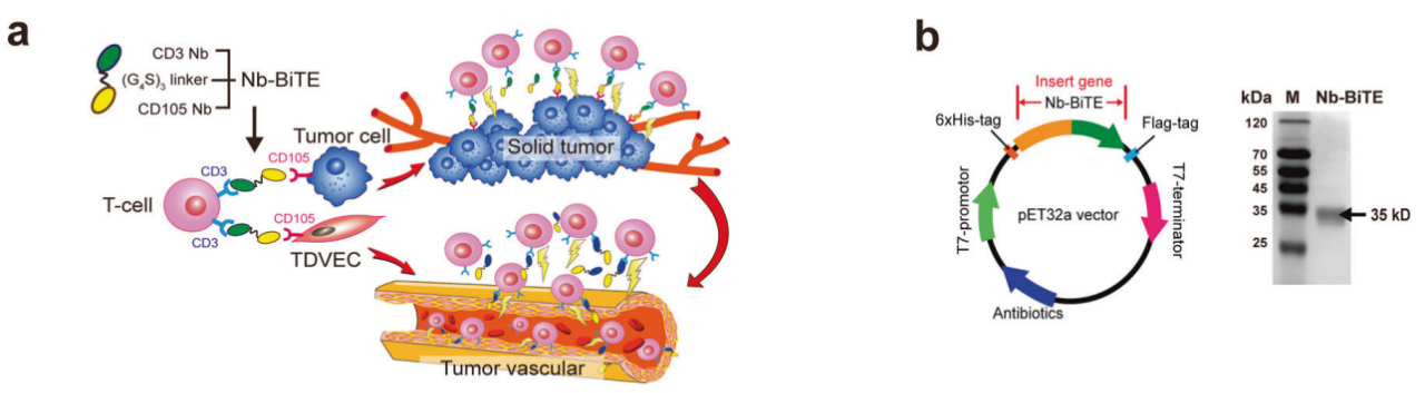 微信圖片_20240814152656.png 微信圖片_20240814152656.png
