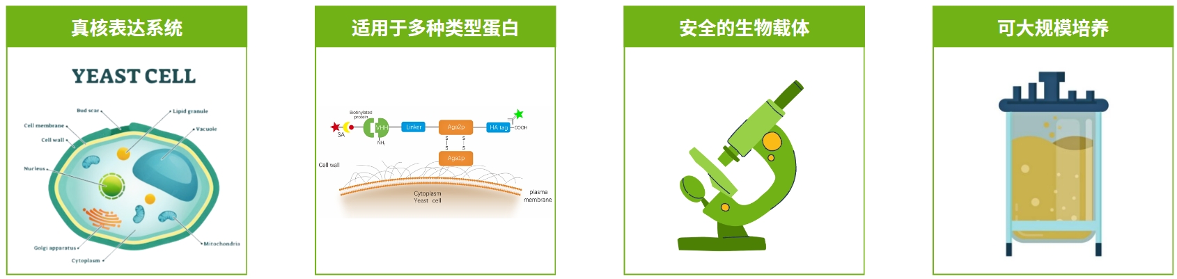 微信截圖_20241015153751.png 微信截圖_20241015153751.png